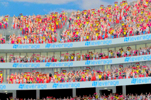 Immersive Live Audience Graphics - Realistic Cricket Match Atmosphere