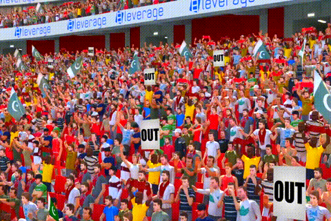 Score Out Graphics - Interactive Cricket Simulator Display